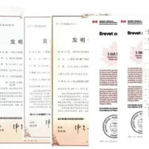 2024新澳门原料网站免费